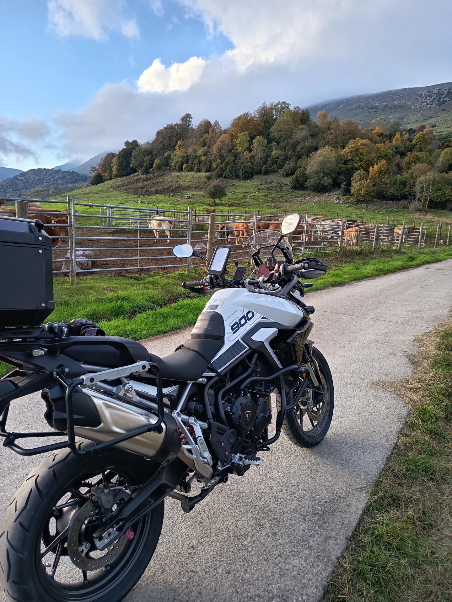 Id Rider: 454 - 2025-10-20 21:15:12 <h2> Pla de Plata</h2>