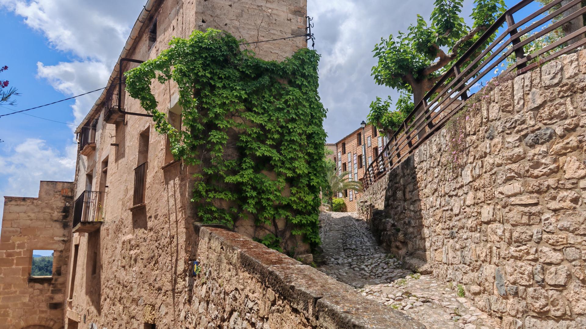 Id Rider: 624 - 2025-05-14 12:53:08 <h2> Antigua iglesia de Corbera d'Ebre</h2>