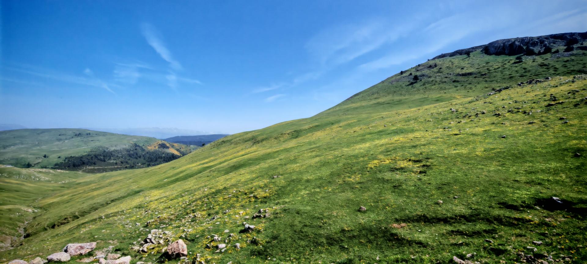 Id Rider: 624 - 2025-06-12 17:12:01 <h2> Coll de la Creueta 1880m</h2>