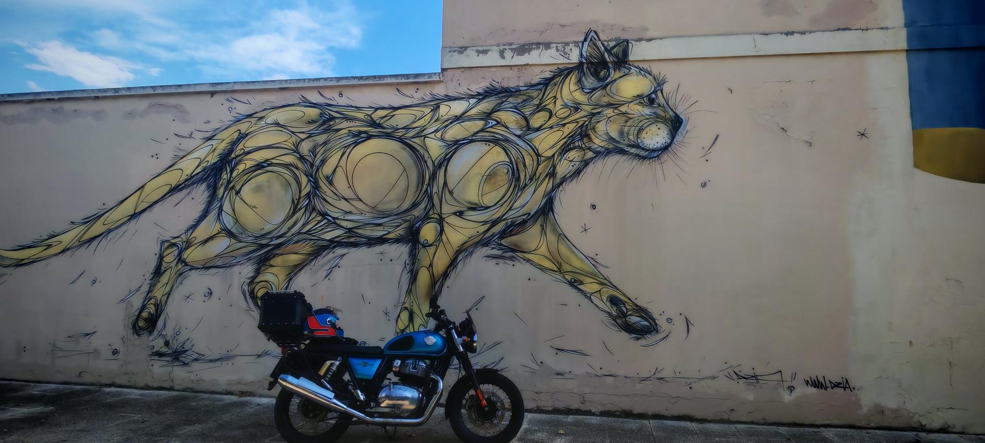 Id Rider: 624 - 2025-07-01 14:59:24 <h2> Grafittis de Penelles</h2>