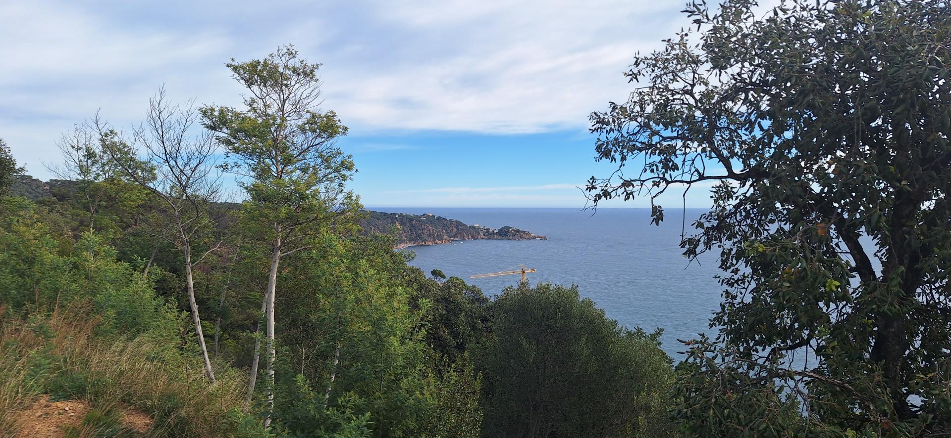 Id Rider: 529 - 2025-01-26 16:57:09 <h2> Mirador de Sant Feliu</h2>