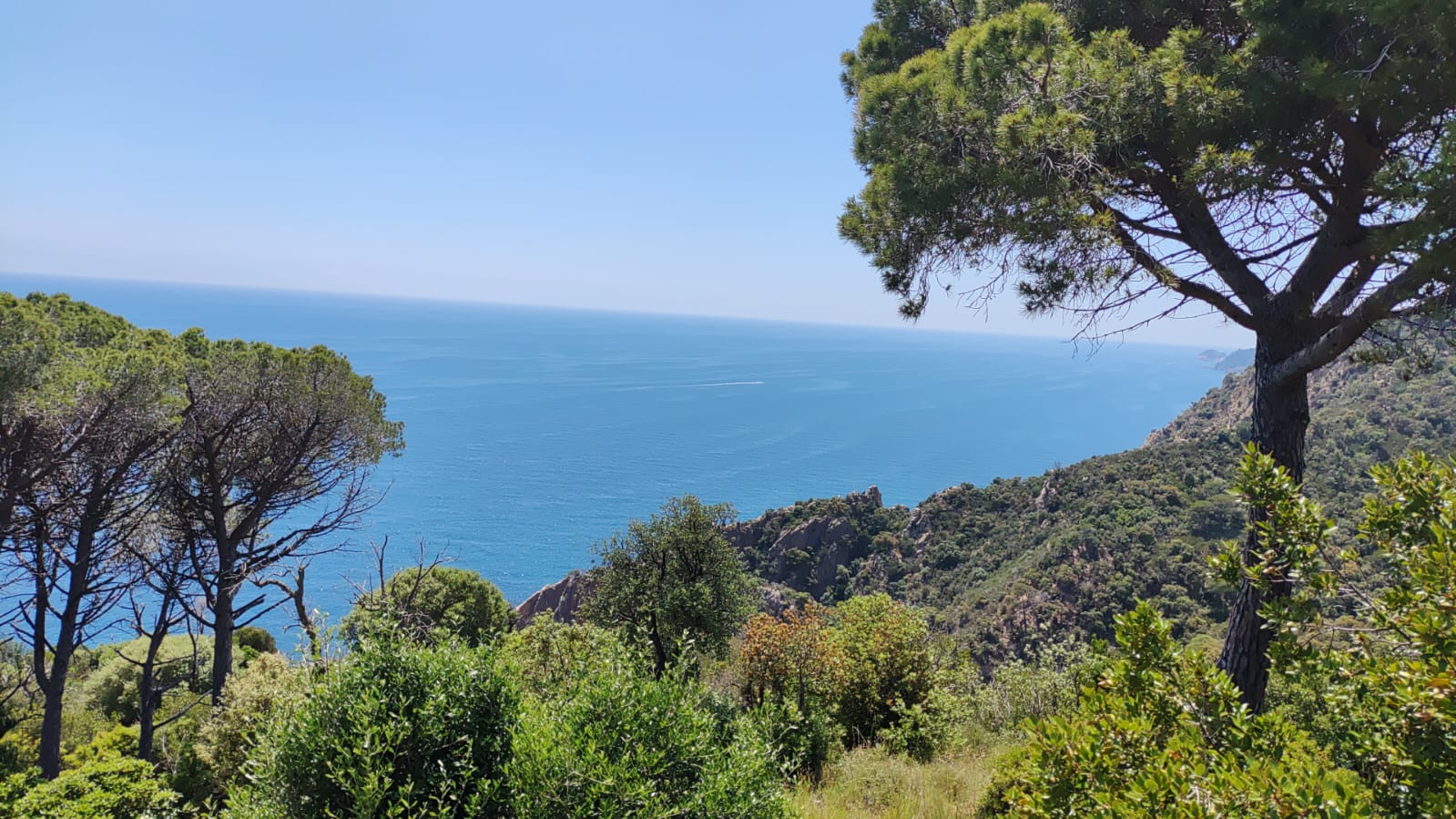Id Rider: 1652 - 2025-06-08 03:06:11 <h2> Mirador de Sant Feliu</h2>