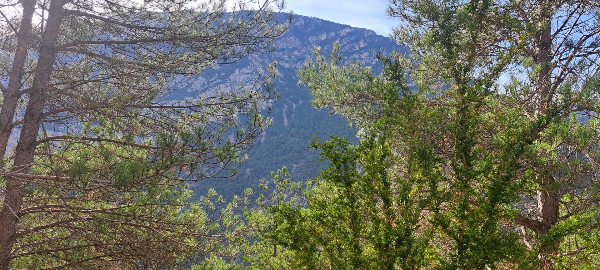 Id Rider: 104 - 2025-10-31 19:30:11 <h2> STELVIO CATAL</h2>