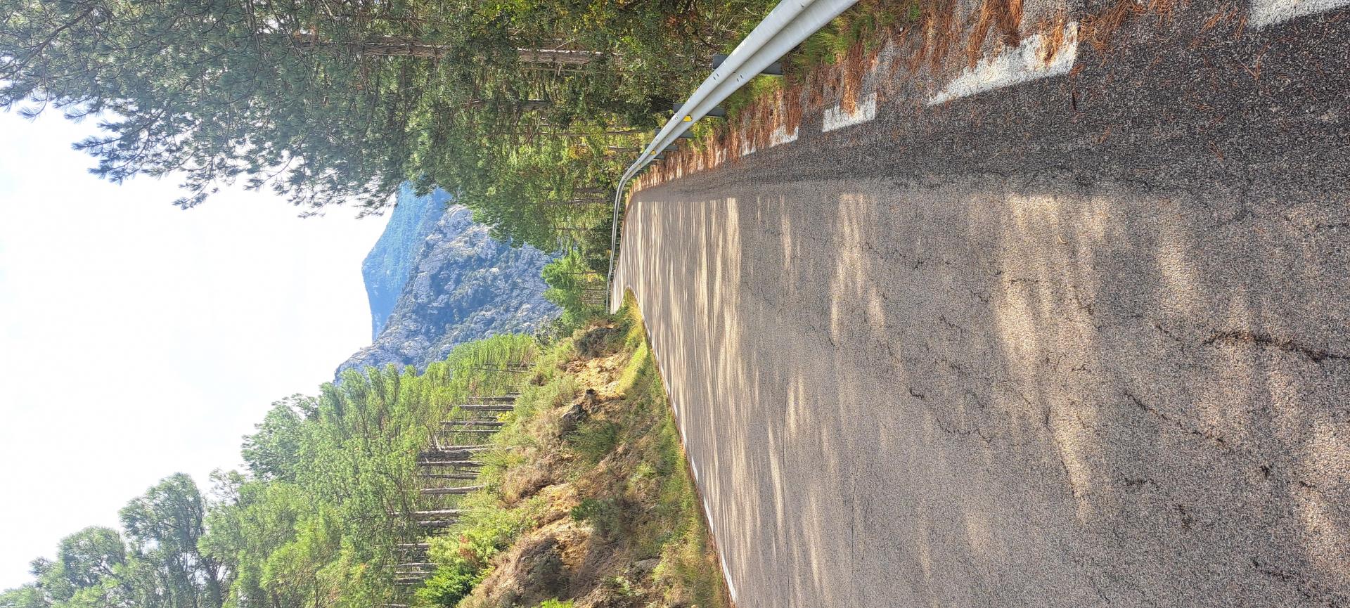 Id Rider: 104 - 2025-10-31 19:30:11 <h2> STELVIO CATAL</h2>