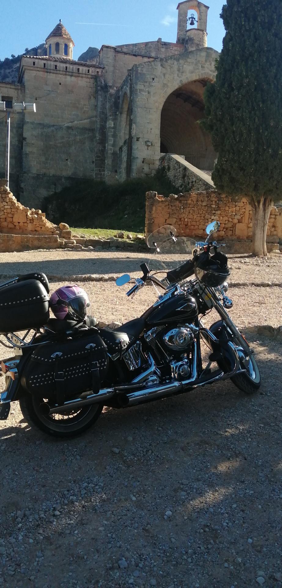 Id Rider: 544 - 2025-01-24 11:58:43 <h2> CONVENT SANT SALVADOR D'HORTA</h2>