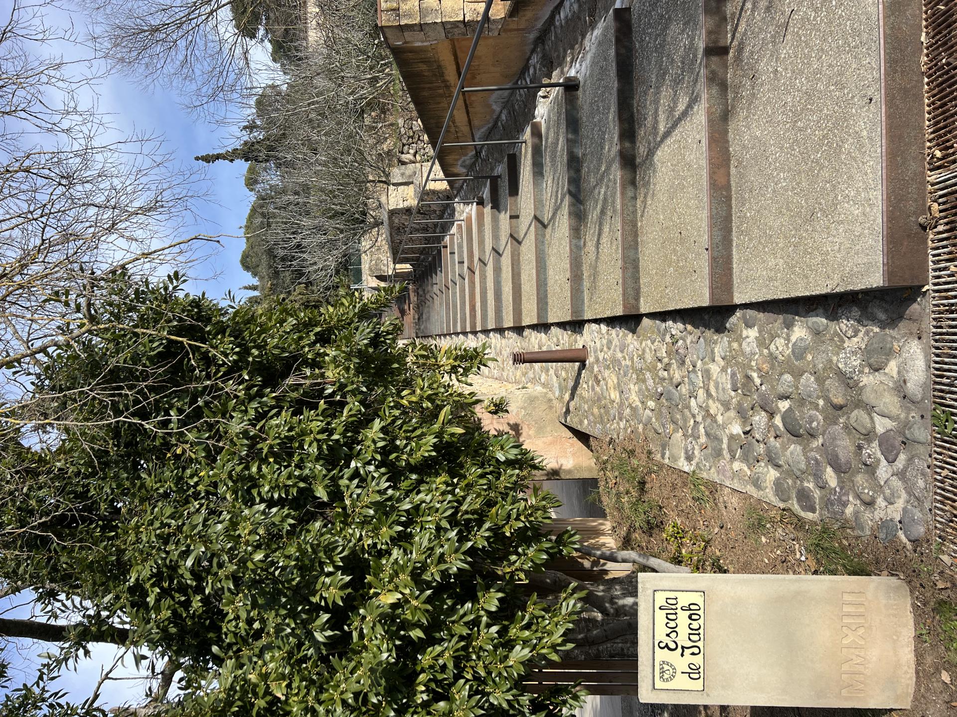 Id Rider: 67 - 2025-01-18 14:09:16 <h2> Monestir de les Avellanes</h2>